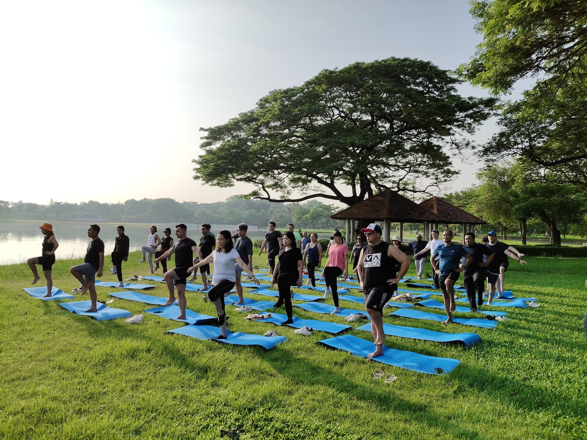 Yoga for All IDY 2025 Countdown Begins